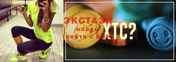 амф Гусь-Хрустальный
