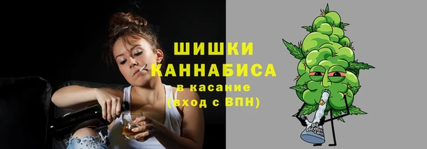 амф Гусь-Хрустальный