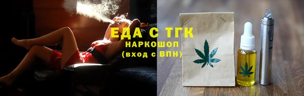 амф Гусь-Хрустальный