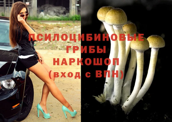каннабис Гусев
