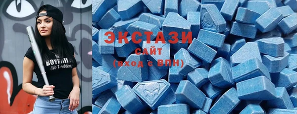 амф Гусь-Хрустальный