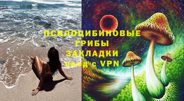 амф Чегем